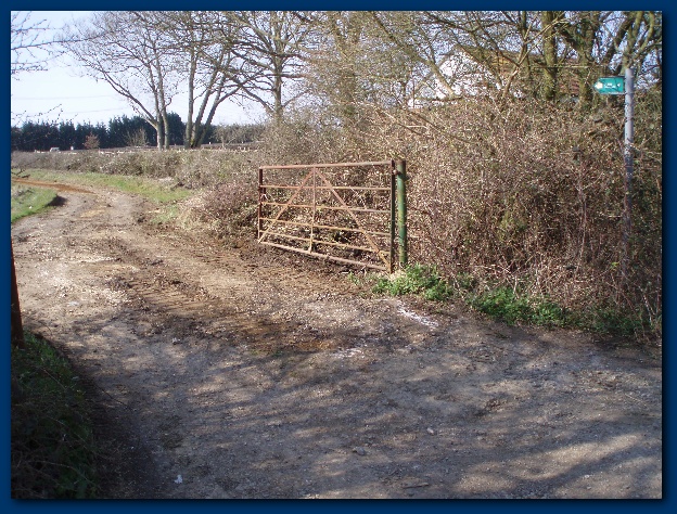 600x449 pixels (202K)